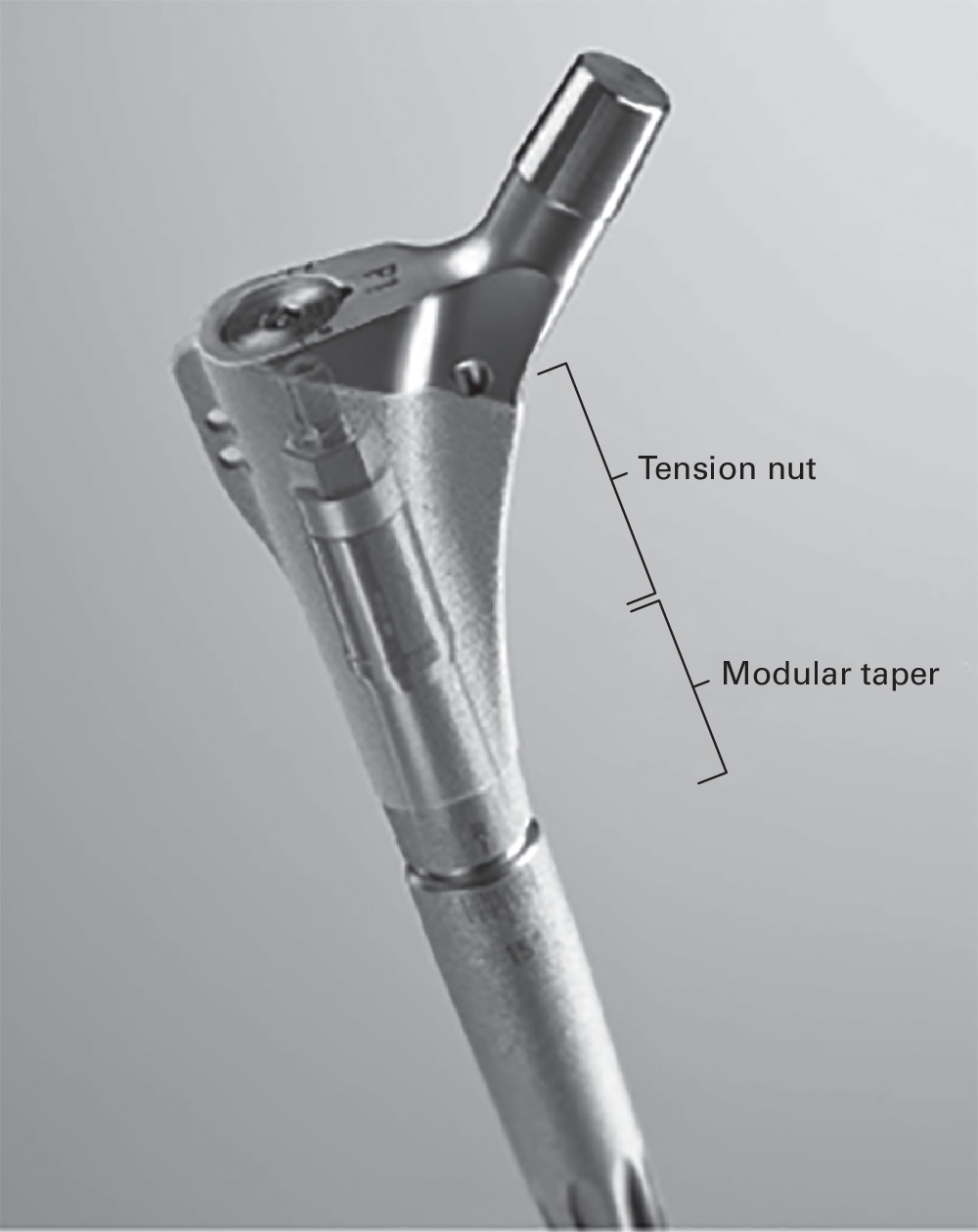 Fig. 1 
          Design of the modular connection, with two-piece tension nut and modular taper.
        