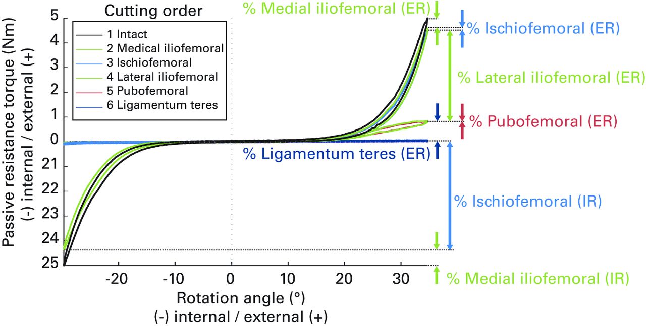 Fig. 3 
          A graph of the internal/external rotation
cycles for one specimen positioned at 60° flexion and full adduction
showing the change in torque as different ligaments are resected.
Percentage changes not labelled (including the labrum) all lie on
the zero torque axis. It can be seen that cutting the ischiofemoral
and lateral iliofemoral ligaments caused the largest respective
drops in internal and external passive rotation resistance.
        