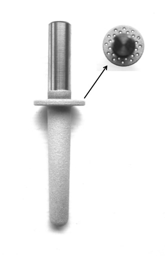 Figs. 1a - 1b 
            Diagrams showing an Intraosseous
Amputation Prosthesis pin with a (a) porous titanium alloy flange
and (b) drilled flange.
          