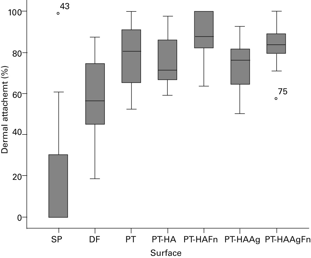 Fig. 4 
            Box-and-whisker plot showing the percentage
dermal attachment to implants (SP, straight pin; DF, drilled flange; PT,
uncoated porous titanium alloy flange; PT-HA, hydroxyapatite coated
flange; PT-HAFn, hydroxyapatite with fibronectin coated flange;
PT-HAAg, hydroxyapatite with silver coated flange; PT-HAAgFn, hydroxyapatite
with silver and fibronectin coated flange).
          