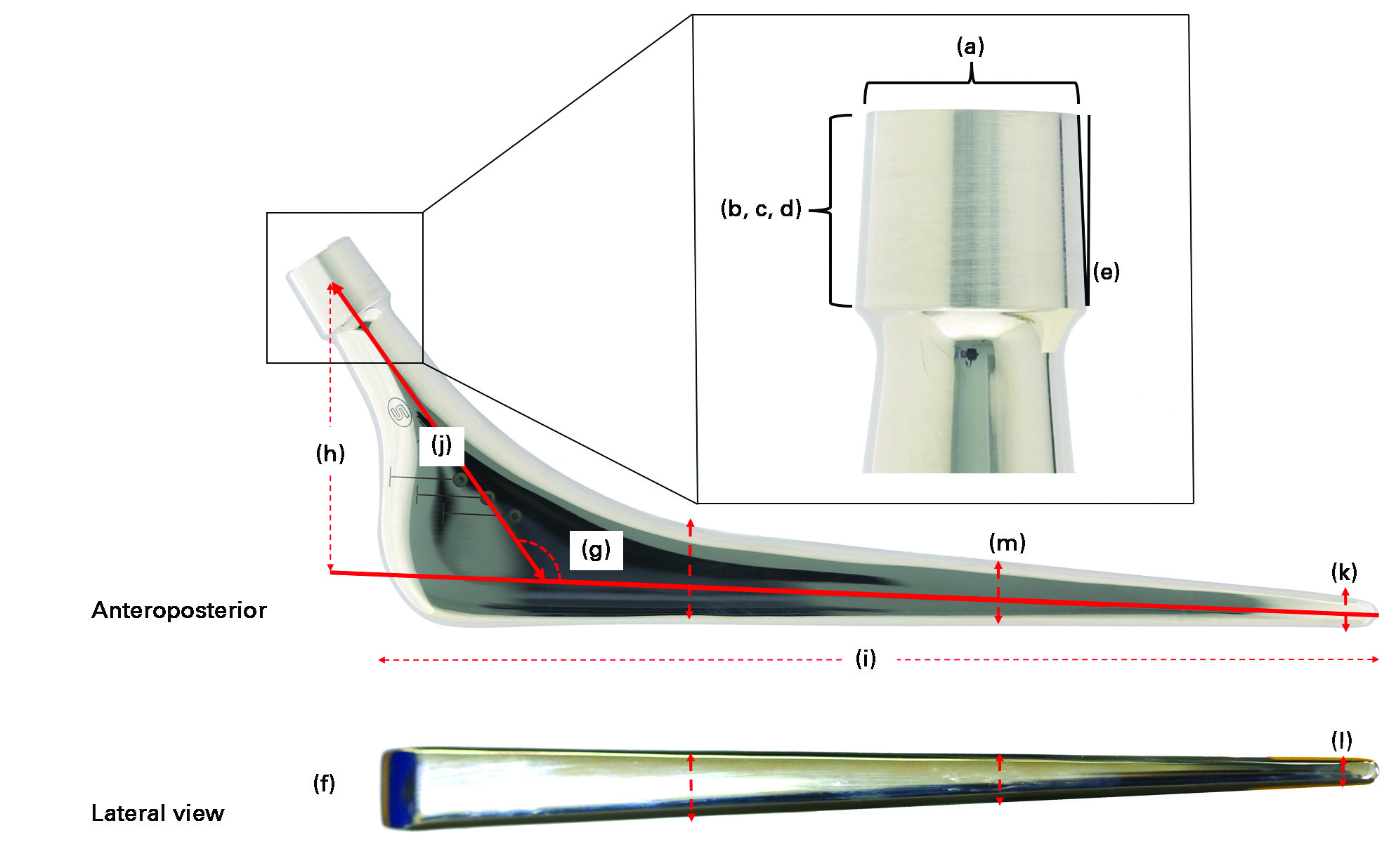 Fig. 2 
          Summary of the stem design parameters
that were investigated: (a) trunnion diameter; (b) thread height;
(c) thread spacing; (d) trunnion roughness; (e) cone angle; (f)
stem mass and volume; (g) CCD angle; (h) femoral offset; (i) stem
length; (j) neck length; (k) shaft width in an anteroposterior view
at 2 mm, 50 mm and 100 mm from the stem tip; (l) width in lateral
view at 2 mm, 50 mm and 100 mm from the stem tip; and (m) surface
roughness at 2 mm, 50 mm and 100 mm from the step tip.
        