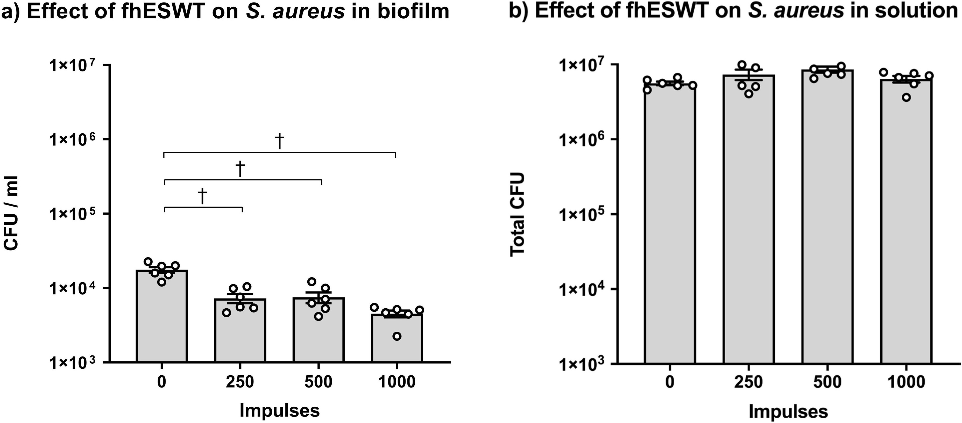 Fig. 1 
            Dose-dependent effect of focused high-energy extracorporeal shockwave therapy (fhESWT). a) Effect of different impulse numbers of fhESWT on Staphylococcus aureus colony-forming units (CFUs) in biofilm grown on titanium discs. b) Effect of different impulse numbers of fhESWT on S. aureus in the surrounding fluid of the plastic bag. N = 6 per group, significant difference compared to zero impulses (*p < 0.05; †p < 0.001, all ordinary one-way analysis of variance (ANOVA) followed by Tukey's range test), mean and standard error of the mean (SEM).
          