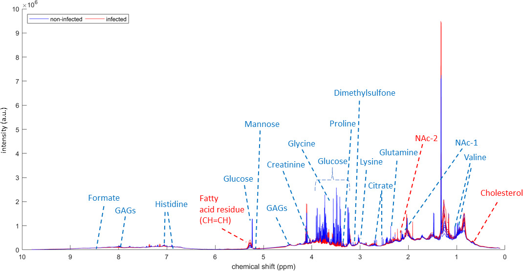 Fig. 2 
            Stacked spectra of all 16 samples demonstrating the significant metabolites, with those in red having a higher concentration in the infected group and those in blue having a higher concentration in the noninfected group. CH=CH, protons from the unsaturated fatty acid residues; GAG, glycosaminoglycan; NAc, N-acetylated group; ppm, parts per million; a.u., arbitrary units.
          