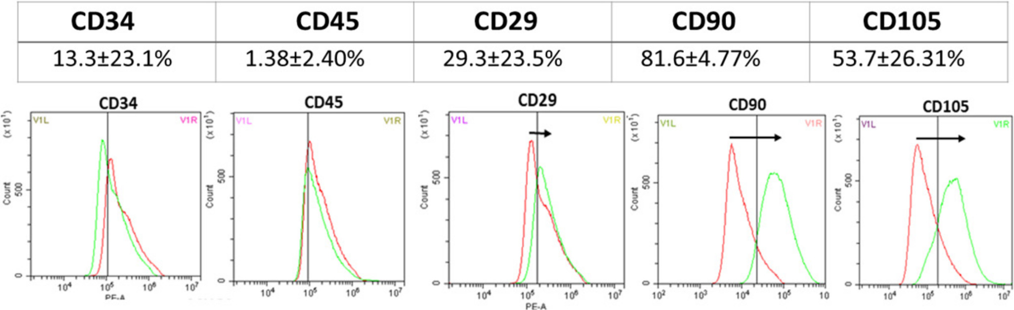 Fig. 2 
          Flow cytometry results for adipose-derived mesenchymal stem cells. The cells were negative for CD34 and CD45 and highly expressed CD90 (n = 4).
        