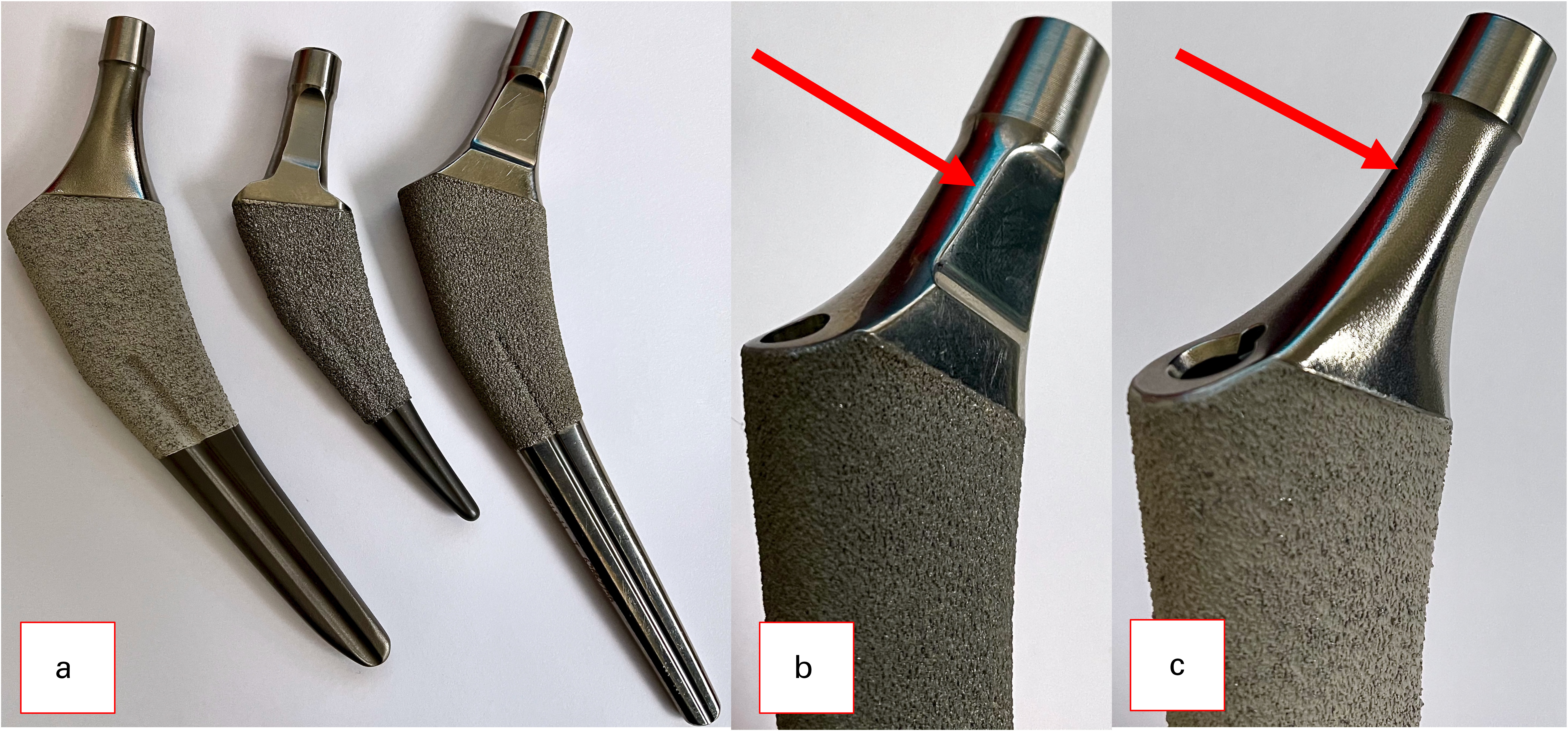 Fig. 2 
          a) Different femoral stems with different neck designs. b) Trapezoidal neck design with anterior and posterior cut-offs to increase the range of motion. c) Cylindrical neck design.
        