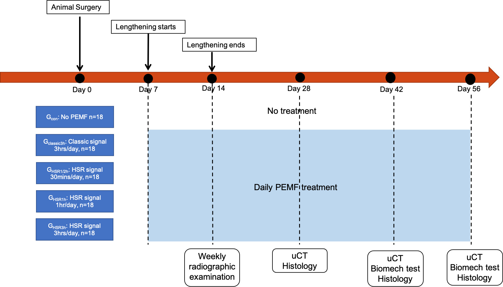 Fig. 1 
            Workflow of experimental plan. HSR, high slew rate; PEMF, pulsed electromagnetic field; μCT, micro-CT.
          