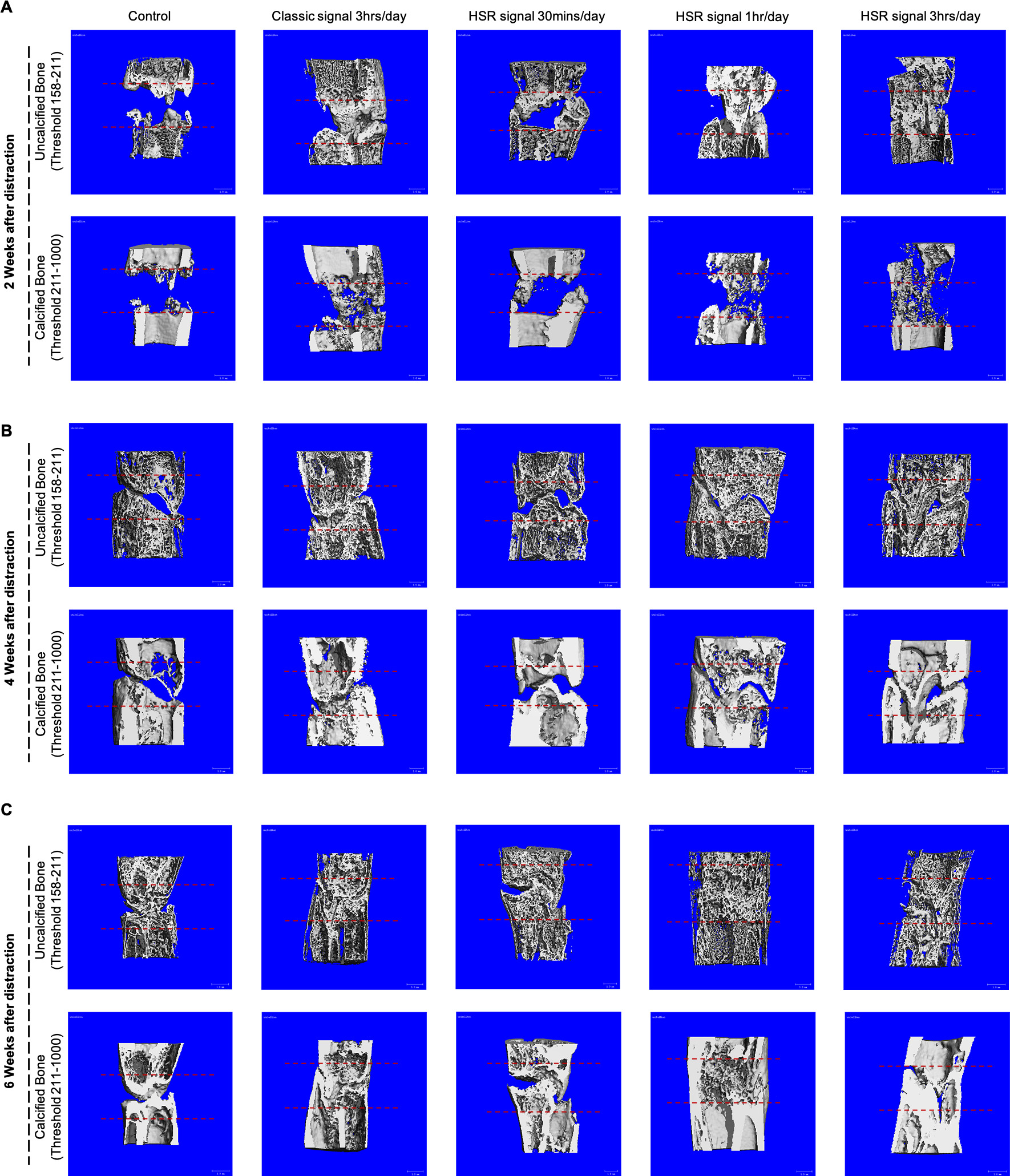 Fig. 3 
            Micro-CT (μCT) analysis of distraction site. Representative pictures reconstructed by μCT at a) two weeks, b) four weeks, and c) six weeks after distraction.HSR, high slew rate.two ,two four sixTwo six thre three
          