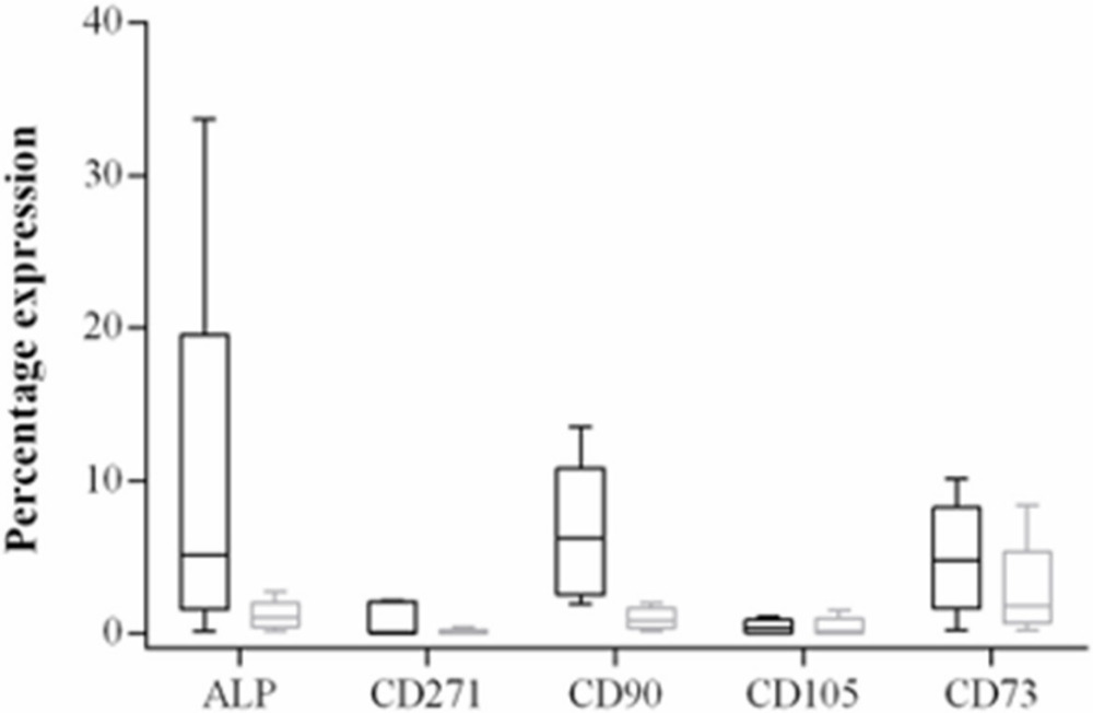 Fig. 1 
            Box plot diagram showing percentage expression of CD271, CD90, CD105, CD73, and alkaline phosphatase (ALP) of primary isolates of acetabular (black box) and femoral neck (grey box) bone. Median, 25% and 75% quartiles, and maximum and minimum values are shown. An outlier for ALP is also demonstrated on the box plot.
          
