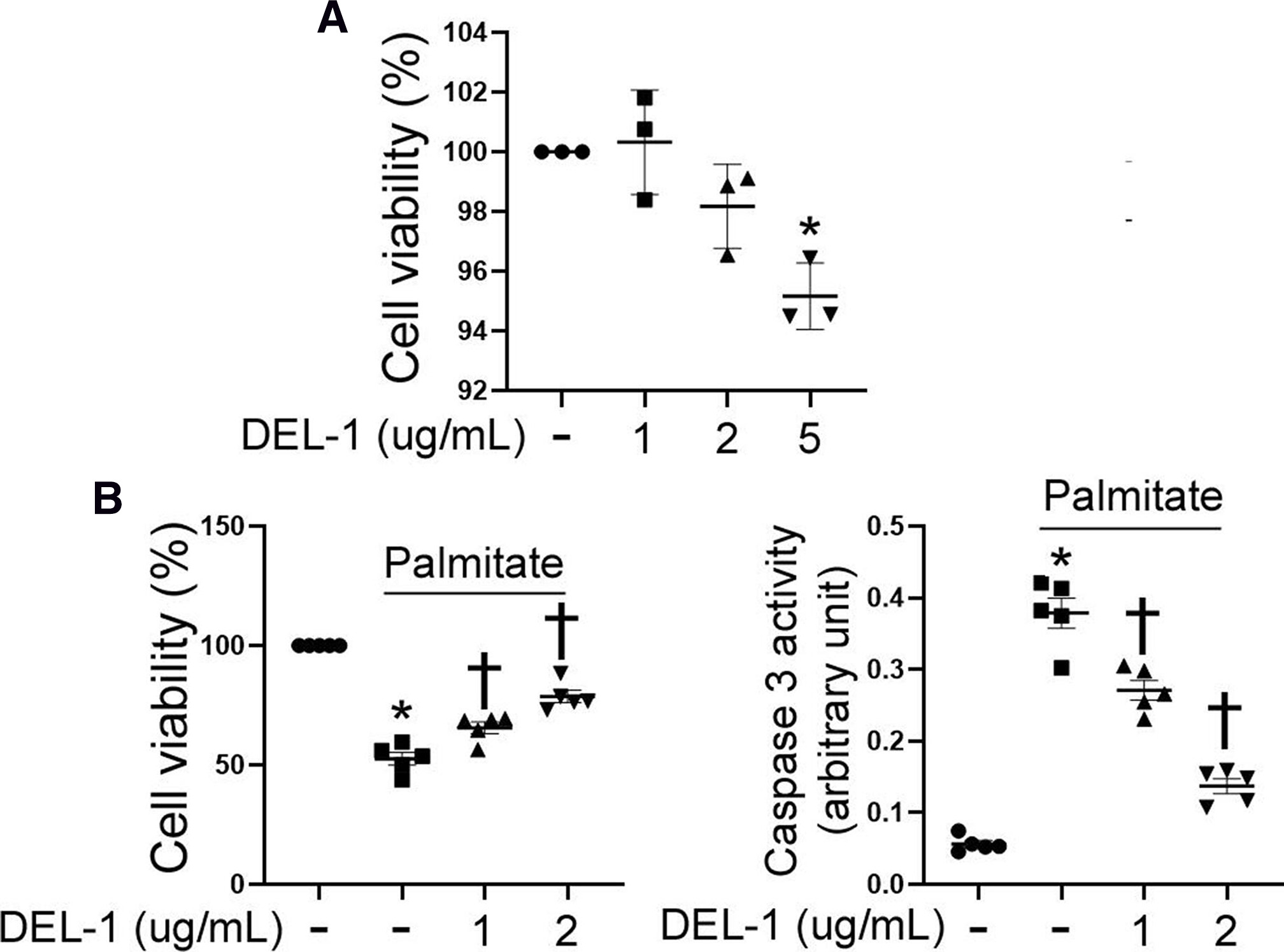Fig. 1 
            Developmental endothelial locus-1 (DEL-1) prevents apoptosis in palmitate-treated tenocytes. a) Cell viability assay in tenocytes treated with DEL-1 (0 to 2 μg/ml) for 24 hours. b) Cell viability assay and caspase 3 activity assay in tenocytes treated with palmitate (400 μM) and DEL-1 (0 to 2 μg/ml) for 24 hours. Means and standard deviations were calculated from three or five independent experiments. Significance (p < 0.05). *: vs control.†: vs palmitate.
          