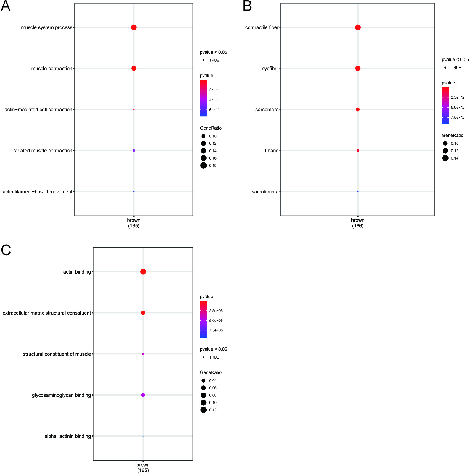 Fig. 3 
            Functional enrichment analysis of postmenopausal osteoporosis (PMOP) hub genes. a) Biological process analysis. b) Cell component analysis. c) Molecular function analysis.
          