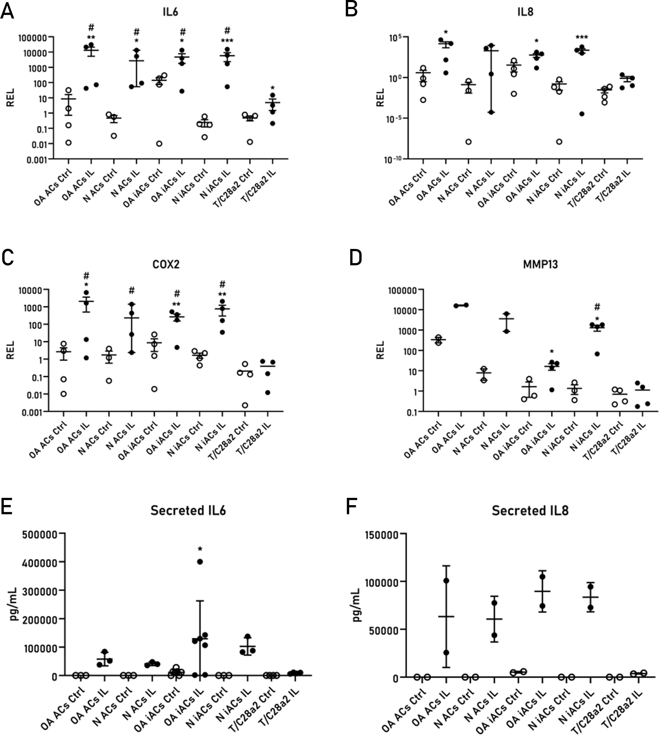 Fig. 4 
          Relative expression levels (RELs) of a) interleukin (IL)-6, b) IL-8, c) cyclooxygenase-2 (COX2), and d) matrix metalloproteinase 13 (MMP-13) in osteoarthritic primary articular chondrocytes (OA ACs), non-OA primary articular chondrocytes (N ACs), OA immortalized articular chondrocytes (OA iACs), non-OA immortalized articular chondrocytes (N iACs), and T/C28a2 cells after 24-hour treatment with IL-1β. Levels of e) secreted IL-6 and f) IL-8 in culture supernatants from OA ACs, N ACs, OA iACs, N iACs, and T/C28a2 cells after 24-hour treatment with IL-1β. *p ≤ 0.05, Mann-Whitney U test.
        