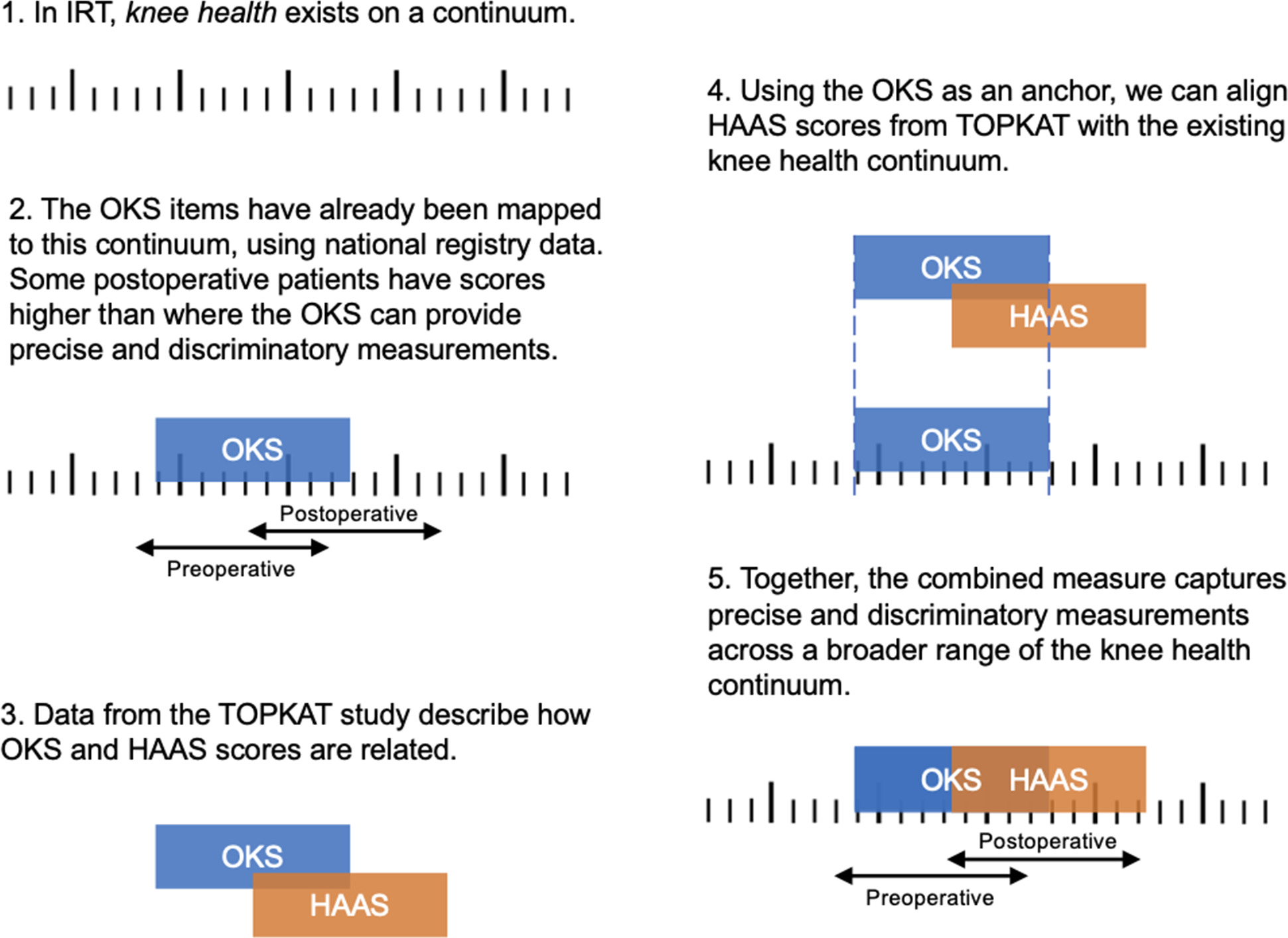 Fig. 1 
            Schematic representation of study methods. HAAS, High Activity Arthroplasty Score; IRT, item response theory; OKS, Oxford Knee Score.
          