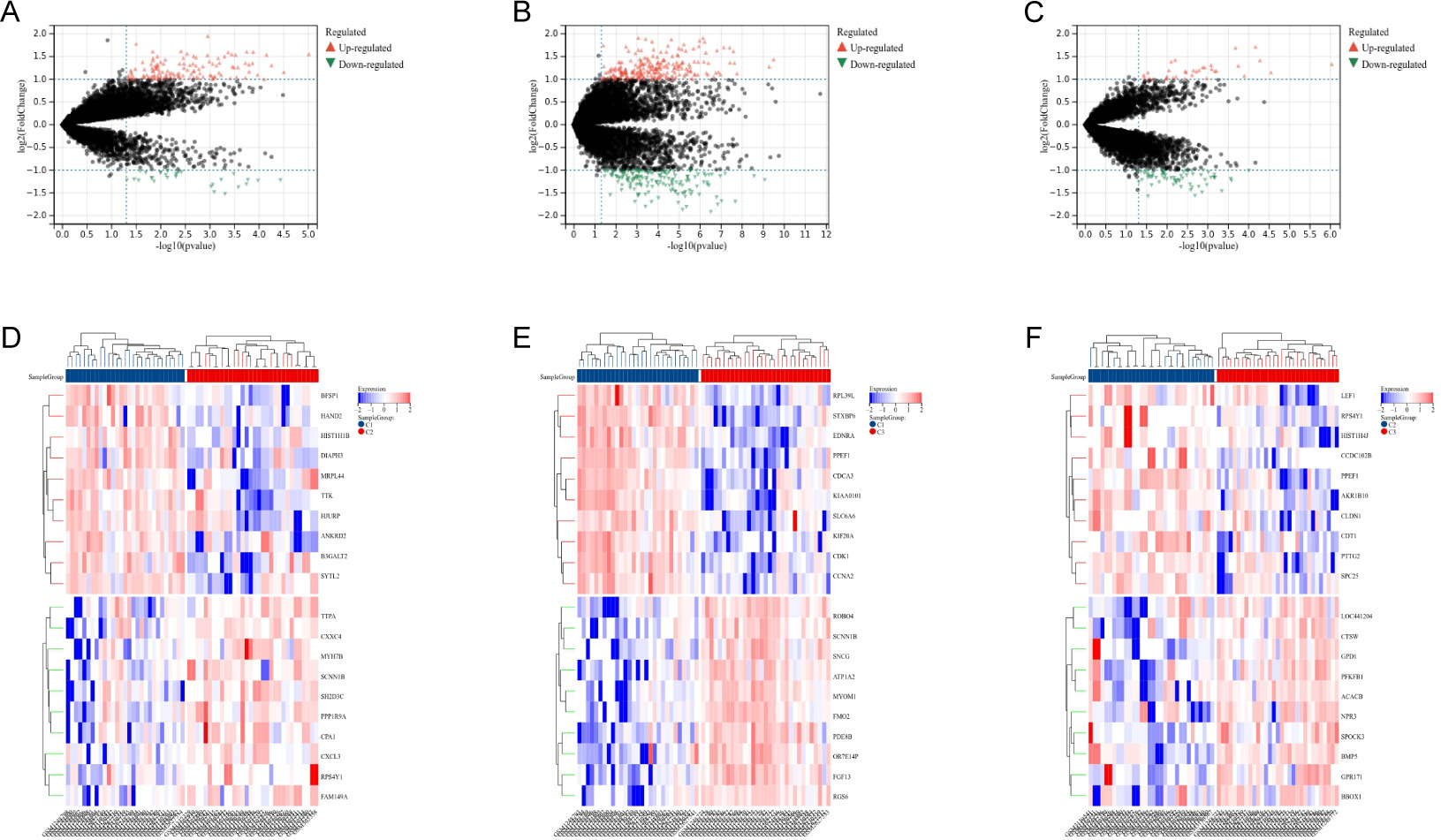 Fig. 4 
            Identification of differentially expressed genes (DEGs). a) Volcano map showing DEGs of C1 subtype vs C2 subtype. b) DEGs of C1 vs C3. c) DEGs of C2 vs C3. d) Heatmap shows the top ten up-regulated and down-regulated C1 vs C2 DEGs. e) Top ten up-regulated and down-regulated C1 vs C3 DEGs. f) Top ten up-regulated and down-regulated C2 vs C3 DEGs.
          