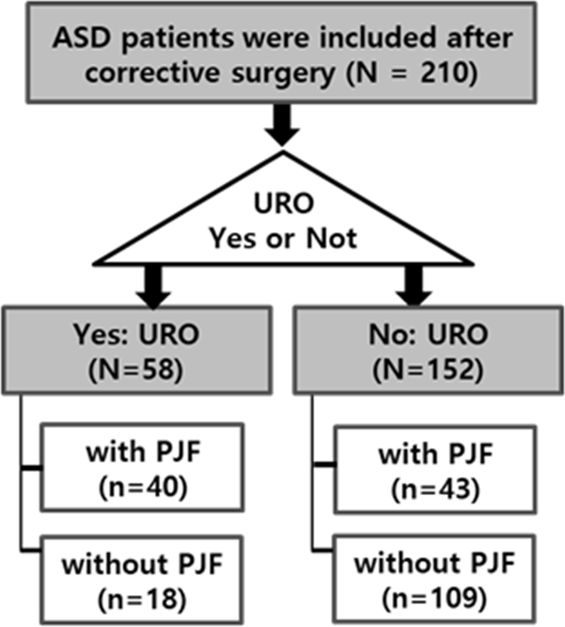 Fig. 1 
          Patient flow chart. Classification was based on whether proximal junction failure (PJF) or unplanned reoperation (URO) occurred. ASD, adult spinal deformity.
        