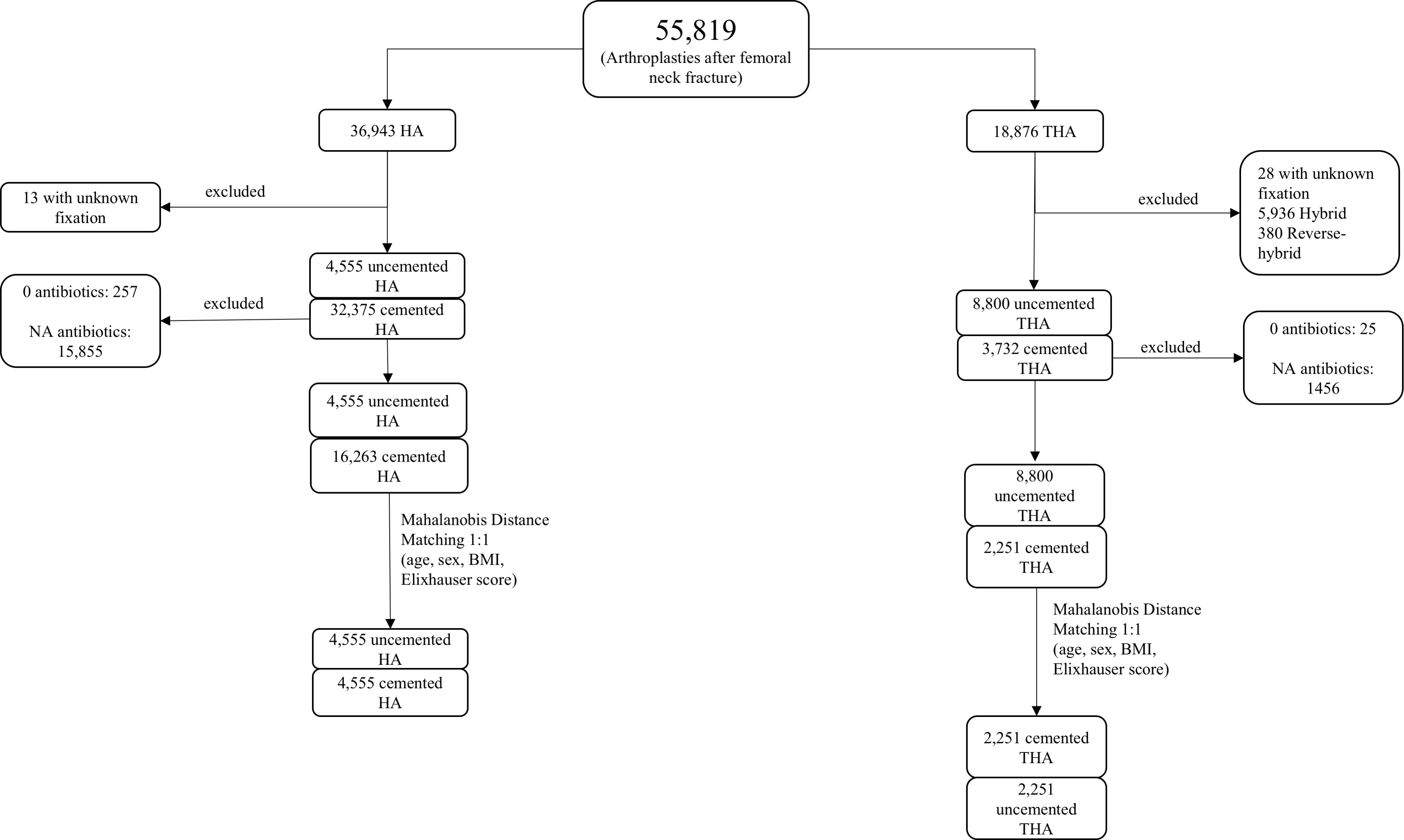 Fig. 1 
            Flowchart with composition of the study population. HA, hemiarthroplasty; N/A, not available; THA, total hip arthroplasty.
          