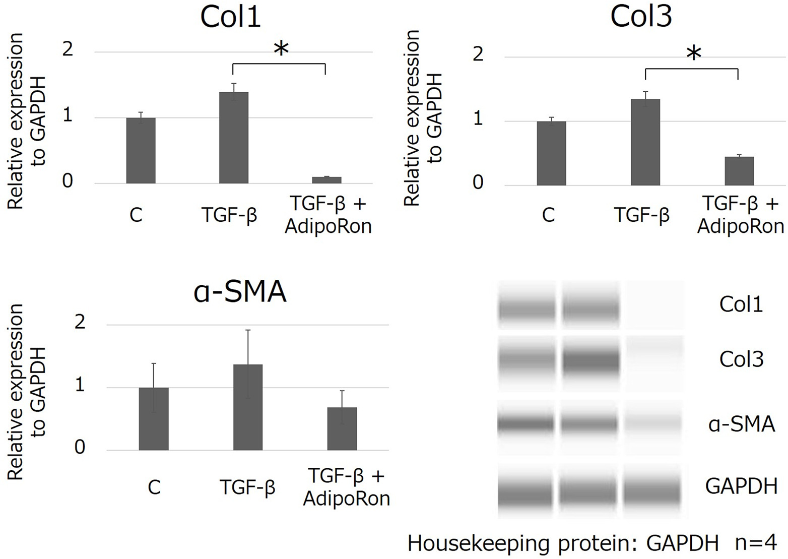 Fig. 6 
            Western blotting analysis of the fibrosis-related protein expression in the in vitro model of Dupuytren’s contracture. Fibroblasts derived from the palmar aponeurosis of patients with carpal tunnel syndrome (CTS) as control (C) were treated with transforming growth factor beta (TGF-β) with/without AdipoRon (100 μM) for 24 hours. Protein expression was normalized against the control. All results are expressed as means and standard error. * indicates p < 0.05. n = 4 for each group. αSMA, alpha-smooth muscle actin; Col1, collagen type I; Col3, collagen type III; CTGF, connective tissue growth factor; GAPDH, glyceraldehyde-3-phosphate dehydrogenase.
          