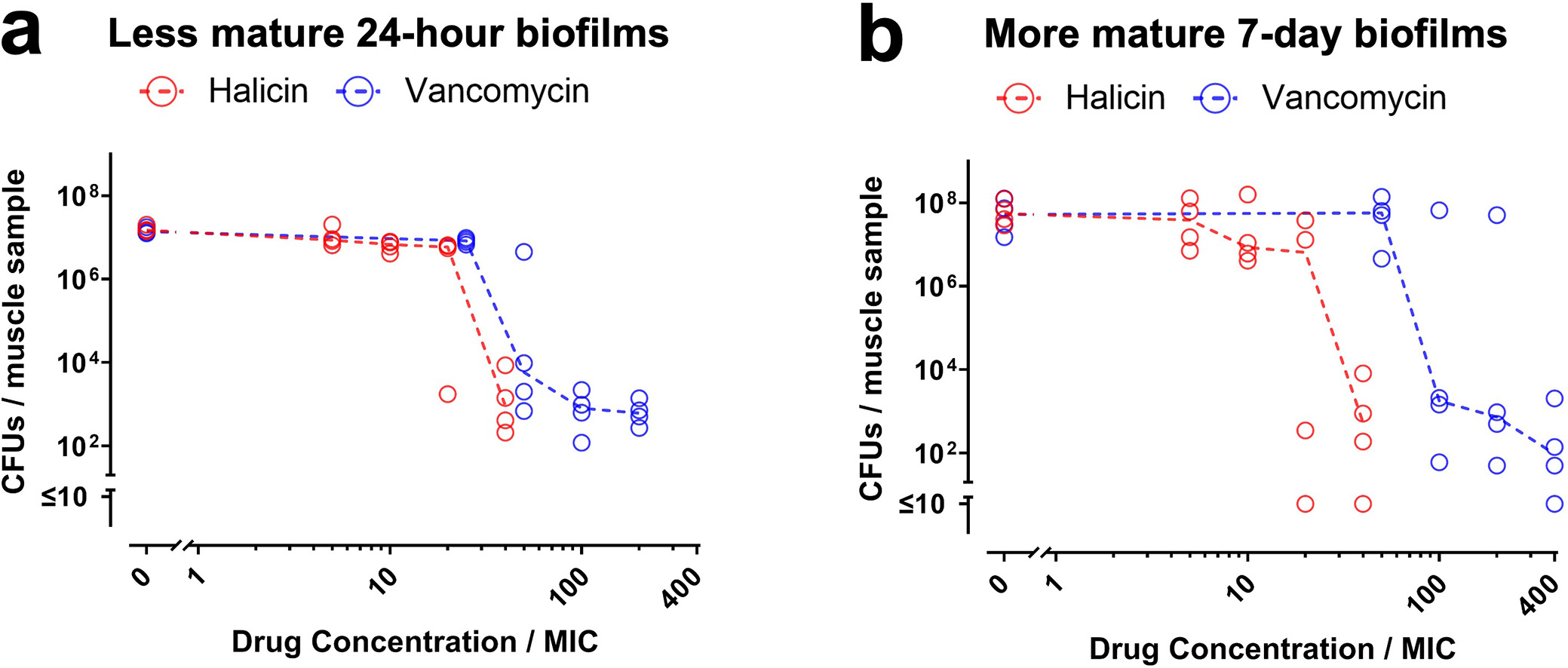 Fig. 4 
          Halicin remains active against Staphylococcus aureus-Xen36 biofilms grown on devitalized muscle. a) Less mature 24-hour biofilms and b) more mature seven-day biofilms on muscle samples were exposed to the indicated concentrations of halicin (red symbols) or vancomycin (blue symbols) for 20 hours. Effects on biofilm viability were determined by CFU assays. Dashed lines connect medians of four independent experiments for each drug concentration. Each symbol denotes the median for each drug concentration from an independent experiment, with three muscle samples per symbol.
        