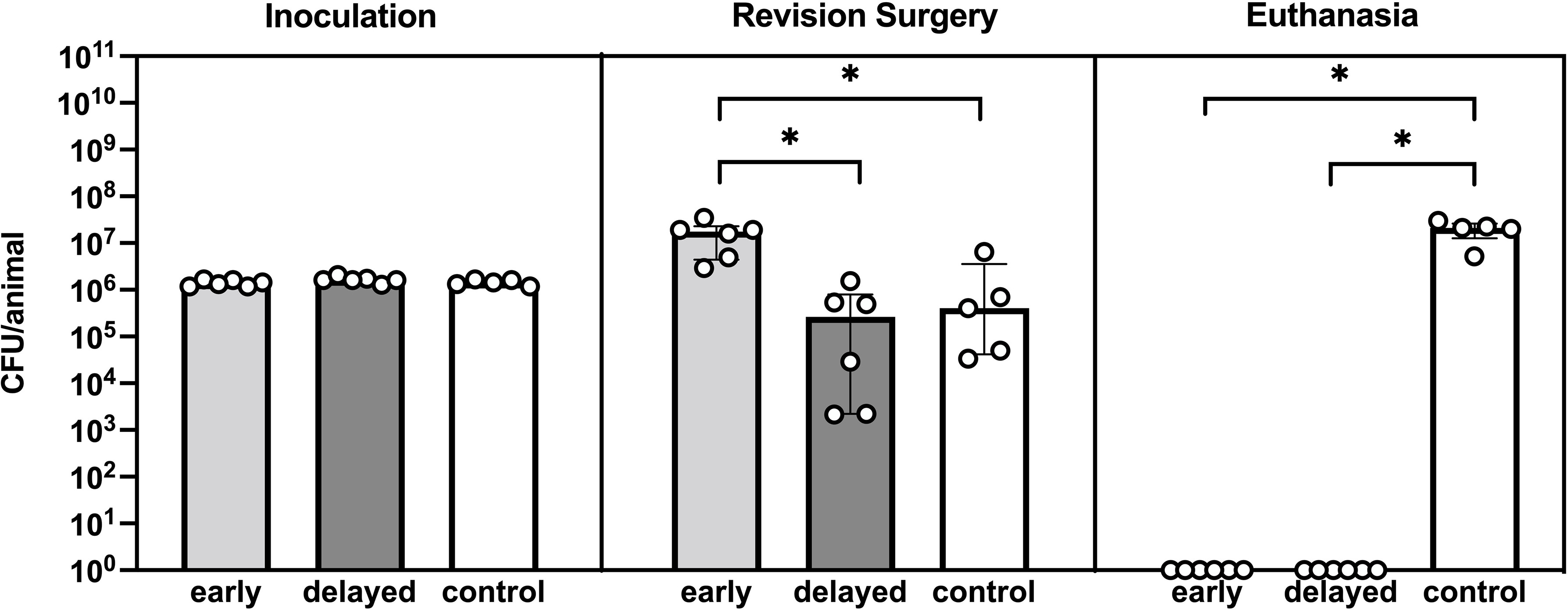 Fig. 2 
            Quantitative microbiology of the three study groups: Staphylococcus aureus colony-forming unit (CFU) count at inoculation, revision surgery, and euthanasia. *p < 0.05, Mann-Whitney U test. Bars indicate the median, and error bars indicate the interquartile range. *p < 0.05, Mann-Whitney U test.
          