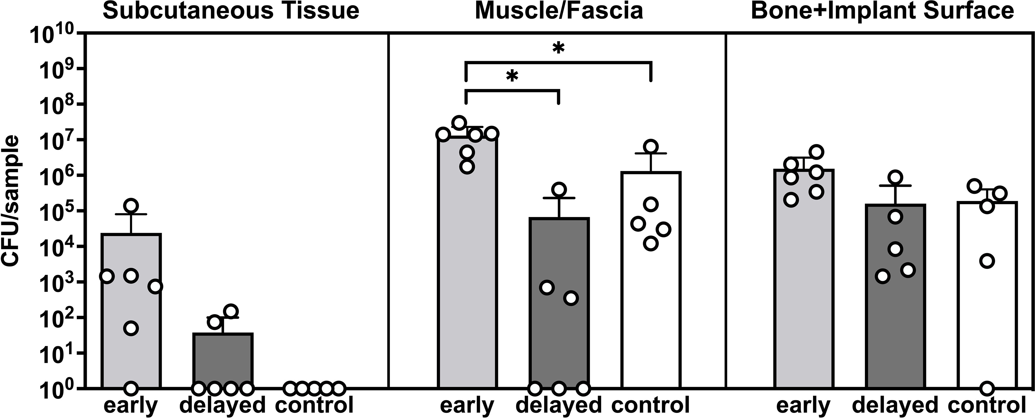 Fig. 3 
            Quantitative microbiology of the different samples collected during revision surgery. Staphylococcus aureus colony-forming unit (CFU) counts in subcutaneous tissue, muscle/fascia, and bone and implant surface in the early, delayed, and control groups. Bars indicate the mean, and error bars indicate the standard deviation. *p < 0.05, independent-samples t-test.
          