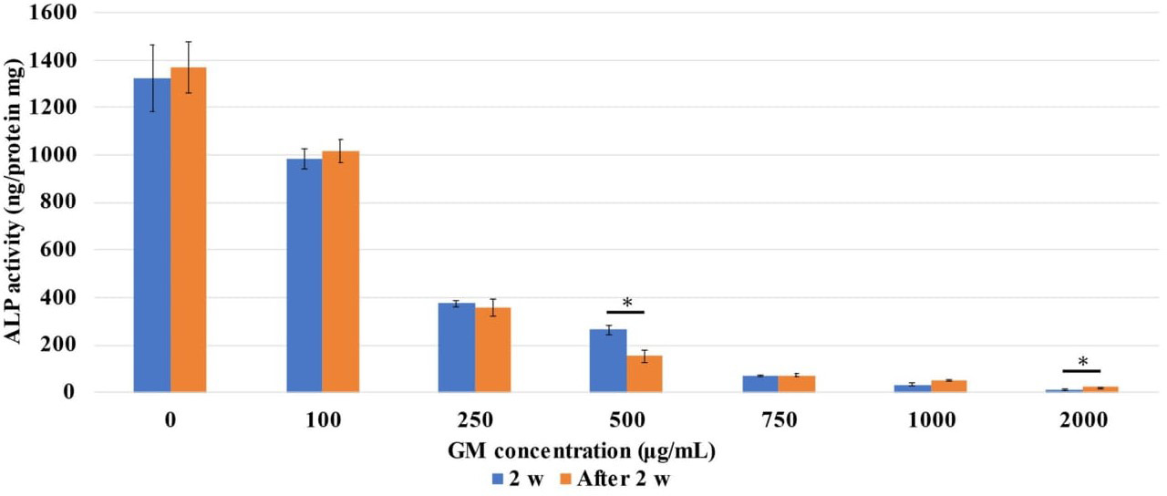 Fig. 5 
            Analysis of restoration of alkaline phosphatase (ALP) activity. Comparison of ALP activity over a total of four weeks at each gentamicin (GM) concentration (after two weeks of exposure followed by culturing for two weeks without GM). *p < 0.05 (Mann-Whitney U test).
          