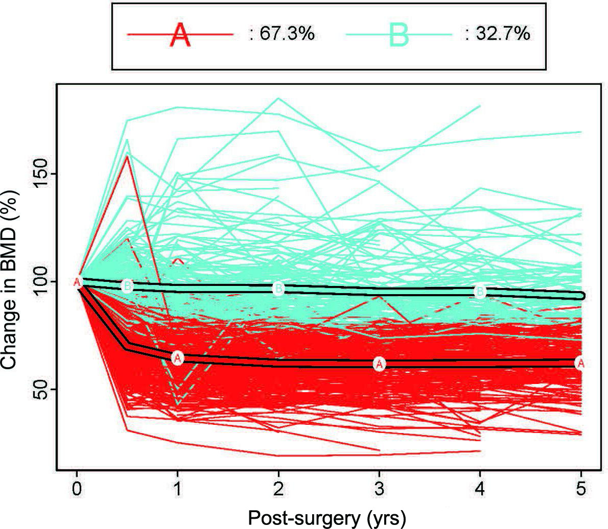 Fig. 2 
            Bone mineral density (BMD) change rate clustering. Longitudinal clustering by five-year postoperative trajectory was shown, with group A being the low BMD group (67.3%, n = 362) and group B being the non-low BMD group (32.7%, n = 176).
          