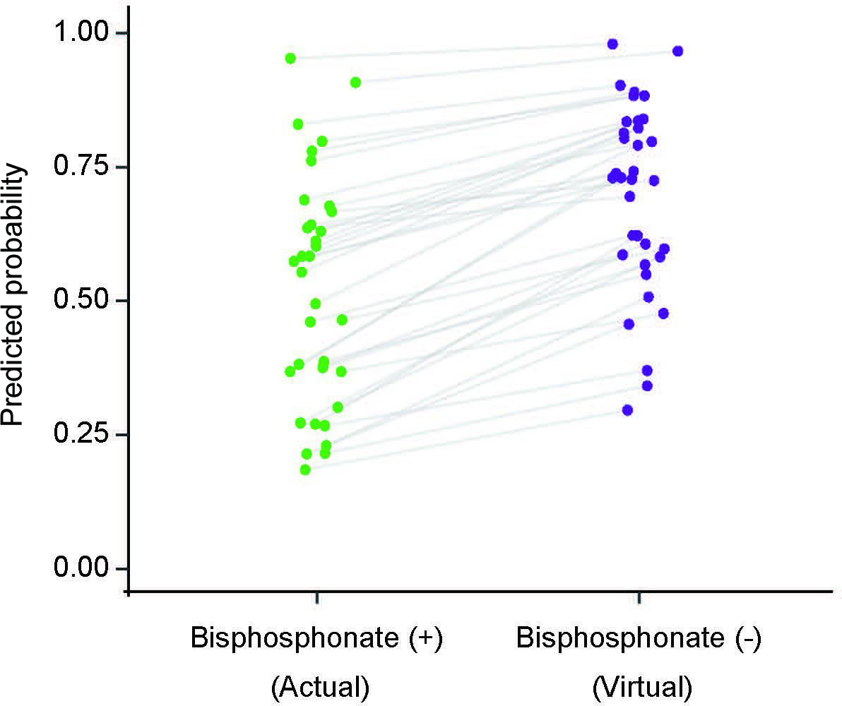 Fig. 7 
            Predicted probability to group A classification for those who did use bisphosphonate (n = 35) versus for those who had not used bisphosphonate in virtual. All had an increased predicted probability.
          