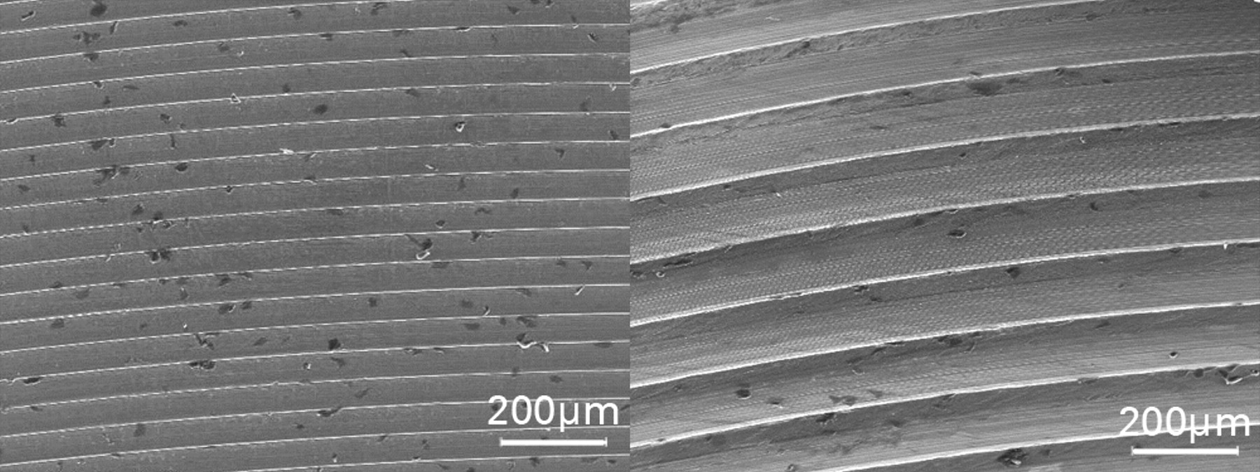 Fig. 4 
          Scanning electron microscopy (SEM) images
of an area of unworn manufactured taper surface (left) and an area
deeper in the same taper that shows the imprint of the machining
grooves of the trunnion (right). Note: images are at the same level of
magnification.
        