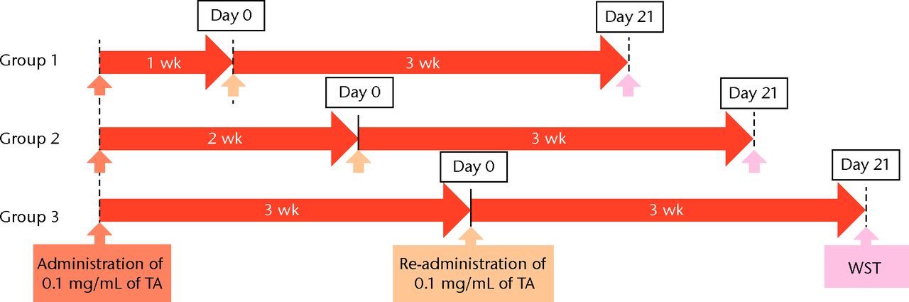 Figs. 1a - 1b 
            Flow chart showing a) the
time course of this study and b) protocol of interval analysis.
IFS, immunofluorescence staining; TA, triamcinolone acetonide; WST,
water-soluble tetrazolium salt assay; PCR, polymerase chain reaction
(group 1, 7-day interval; group 2, 14-day interval; group 3, 21-day
interval).
          