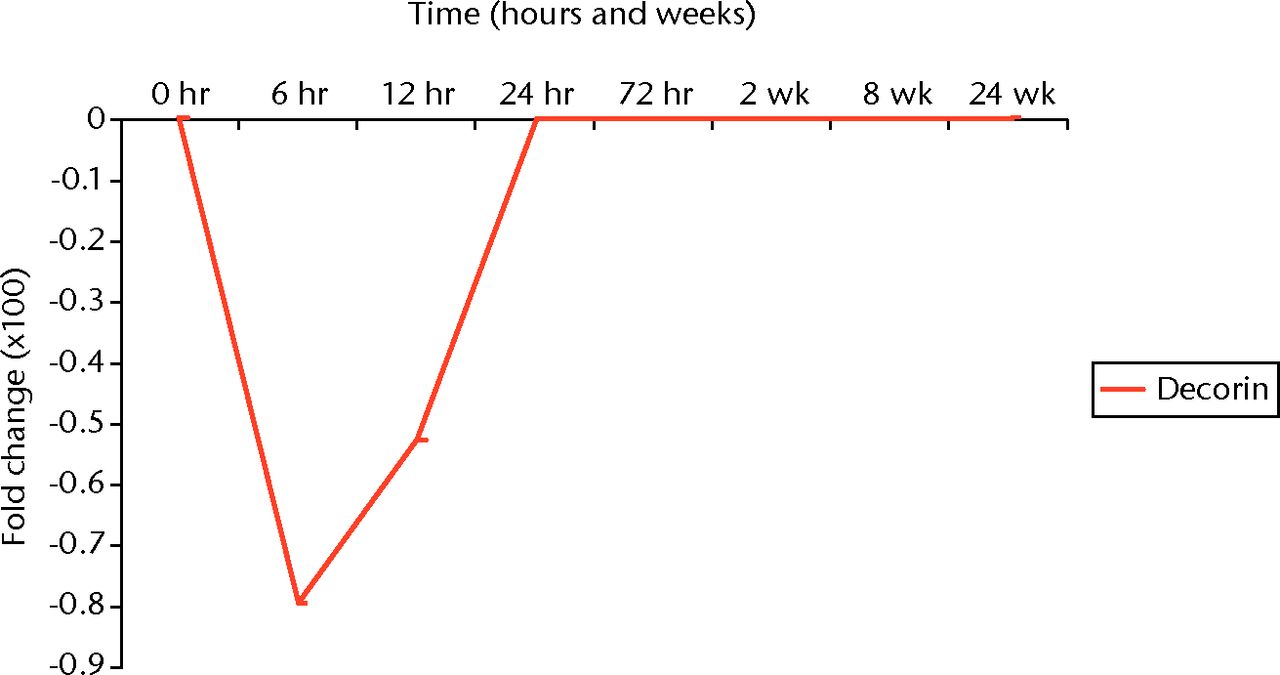 Fig. 4 
            Graph depicting the temporal expression
of decorin mRNA expression in our rabbit model of joint contractures.
          