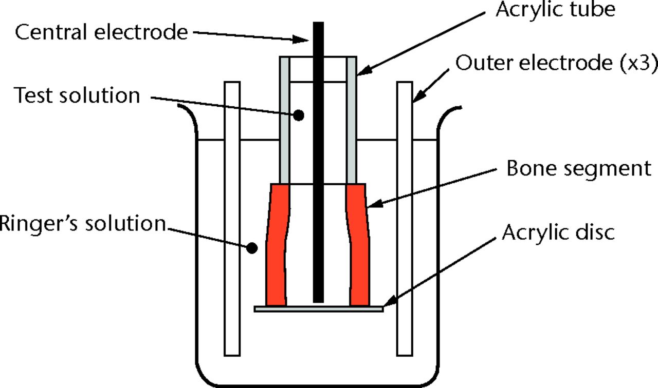 Fig. 2 
          Diagram showing the iontophoresis cell.
        