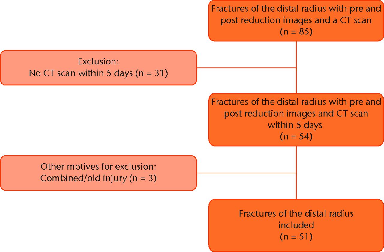 Fig. 1 
            Flowchart showing the exclusion criteria.
          