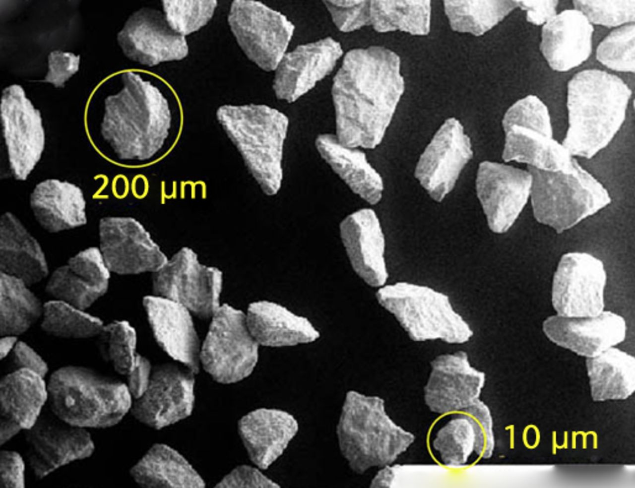 Figs. 2a - 2c 
            SEM imaging showed particulate
morphologies including a) cobalt–chrome beads (mag. × 1000), b)
titanium alloy particles (mag. × 100) and c) flakes of polymerised
cement (mag. × 100).
          