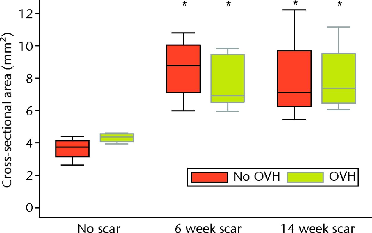 Fig. 3 
              Graph showing cross-sectional area of
normal and healing ligaments with or without surgical menopause
(* different from No scar with same condition of No OVH or OVH;
p ≤ 0.05; OVH, ovariohysterectomy).
            