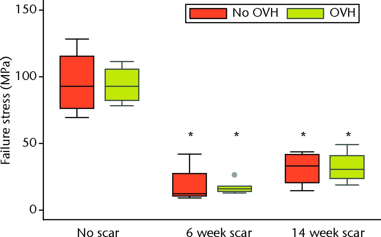 Fig. 6 
              Graph showing failure stress of normal
and healing ligaments with or without surgical menopause (* different
from No scar with same condition of No OVH or OVH; p ≤ 0.05; OVH,
ovariohysterectomy).
            