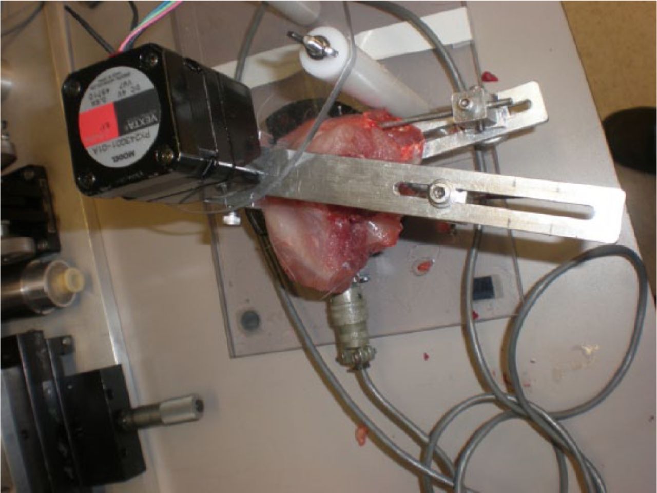 Fig. 3 
          Photograph of the mechanical testing device. Following mounting of the limb, the joint was extended at 1° per second until 20 Ncm was reached. Fluoroscopic verification that the femoral condyles were centred over the centre of the load cell.
        
