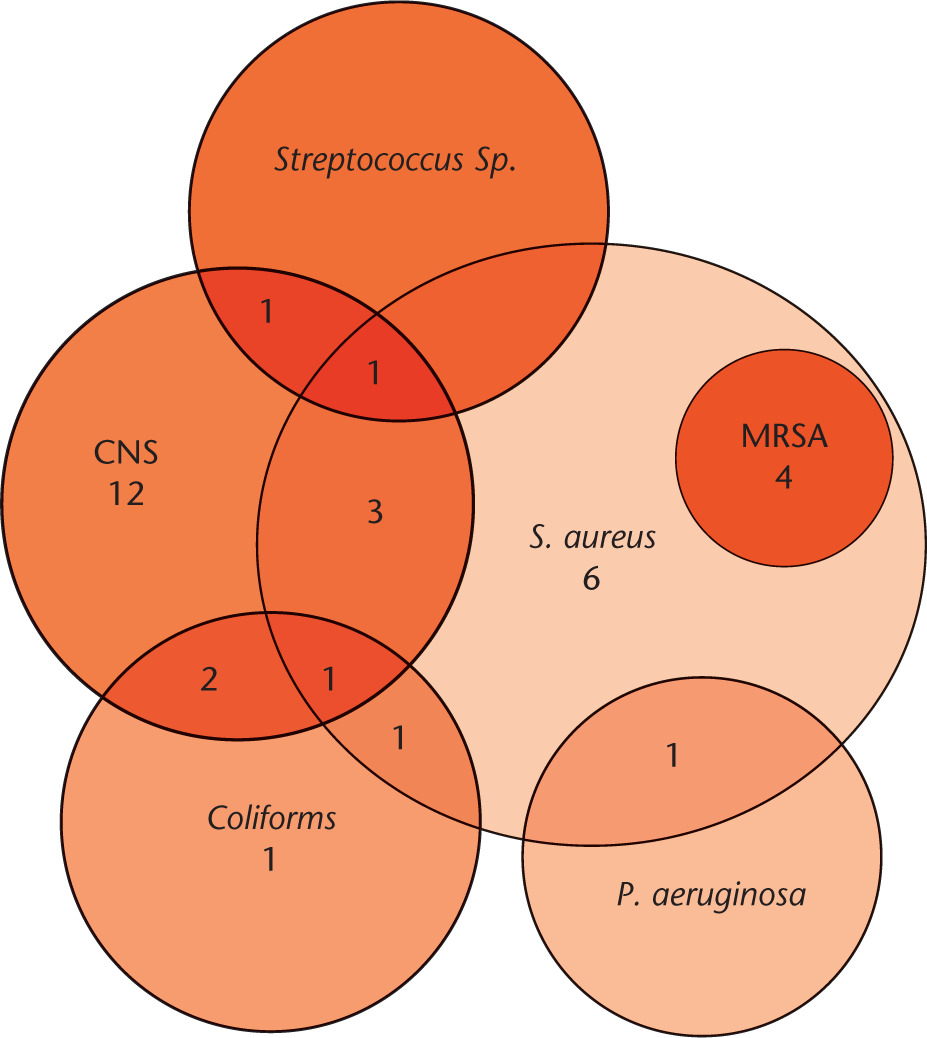  
            Venn diagram showing the bacteria grown from intra-operative samples (n = 1 patient).
          