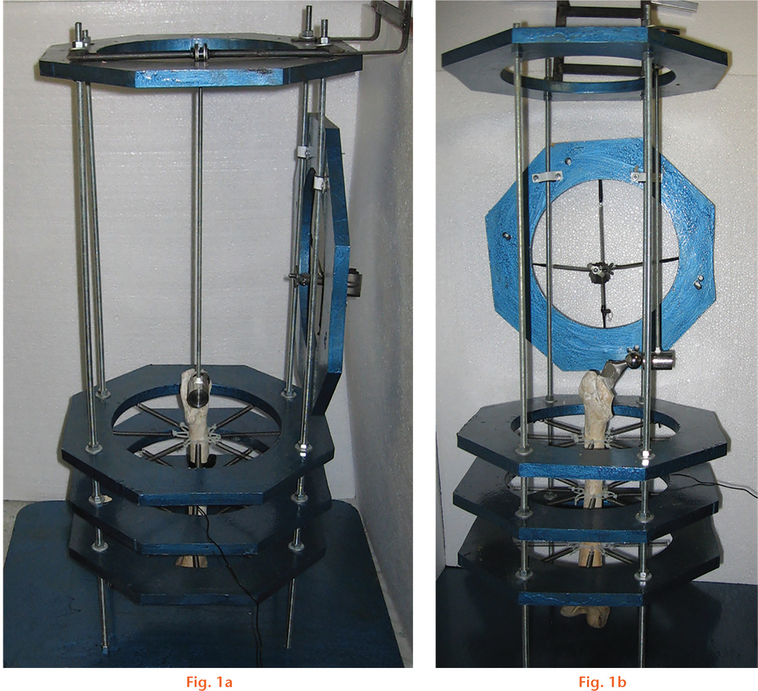  
            Photographs showing a) front view of the setup with the three octagonal rings supported by four roads and a stem implanted in a cadaveric bone femur aligned at the centre of the rings; and b) lateral view of the setup.
          