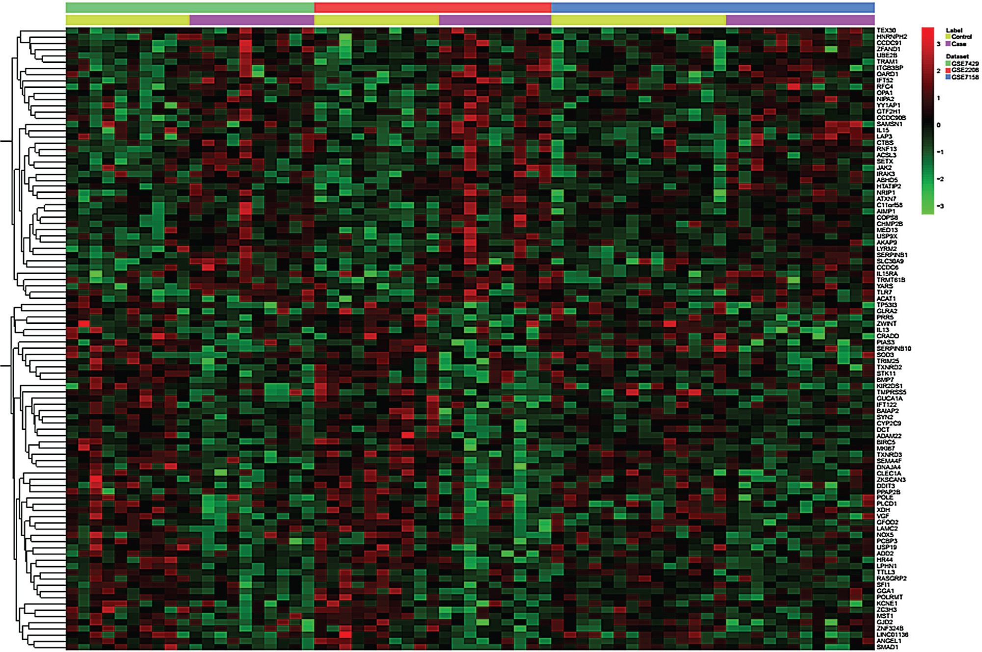 Fig. 2 
            Heat map image showing the expression of the top 100 significantly upregulated or downregulated genes in patients with osteoporosis.
          