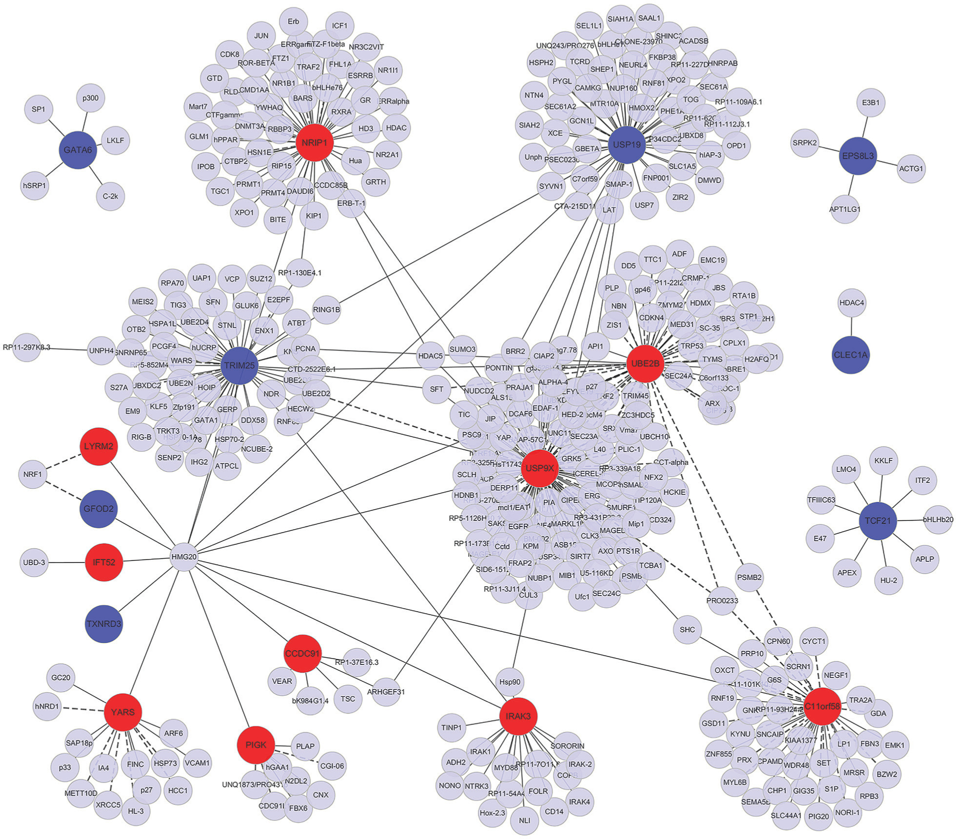 Fig. 4 
            The constructed PPI network of the top ten up- and downregulated differentially expressed genes. Nodes denote proteins, edges denote interactions between two proteins.
          
