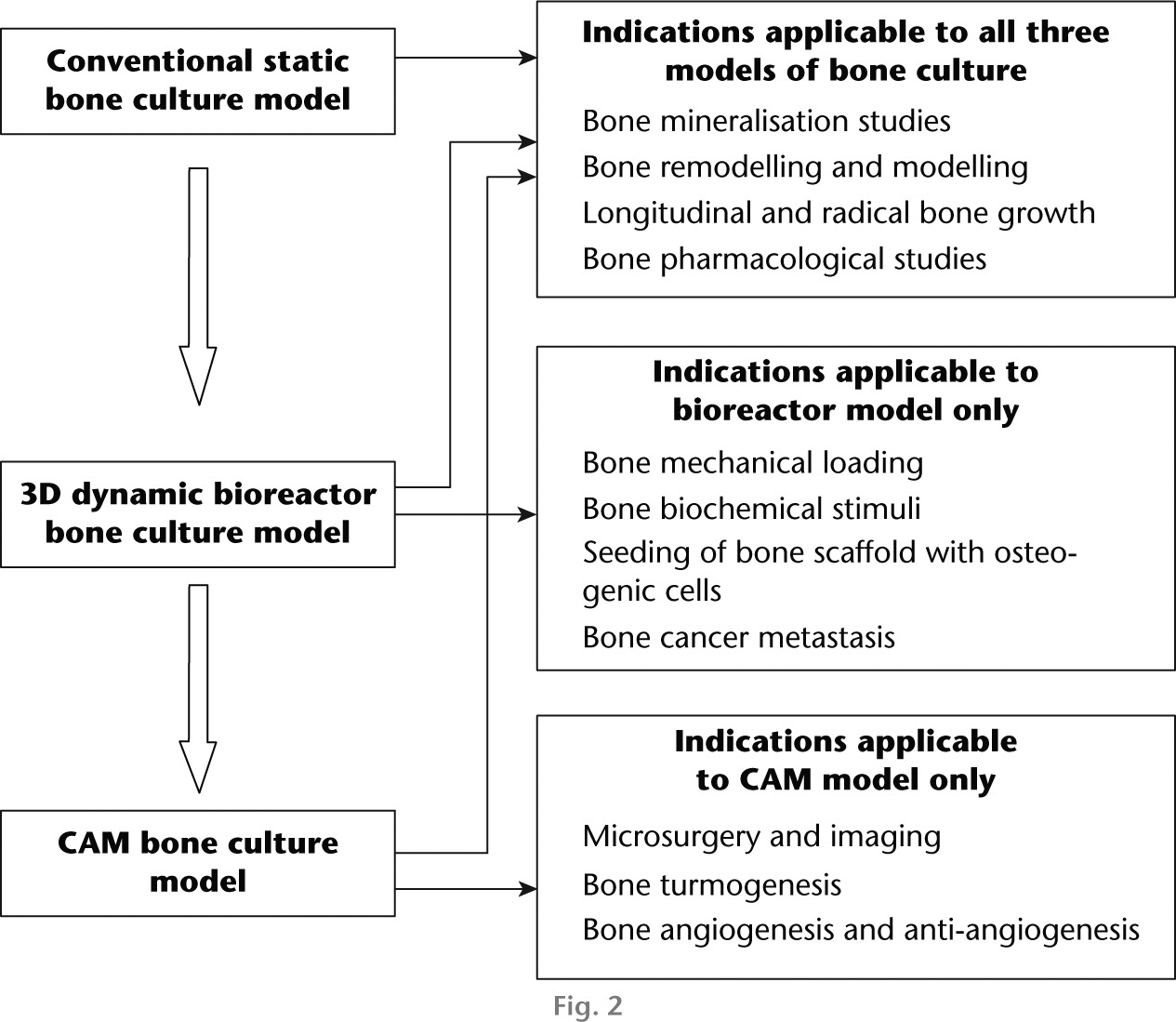 Fig. 2 
            Order of preclinical application of the ex vivo rodent bone culture models and their indications in bone growth, development and related fields of studies. Note that all indications that are applicable for the conventional static culture system are equally applicable to other models. The block arrows indicate the current order of the mostly used technique (from top to bottom) among the three ex vivo models reported (CAM, chorioallantoic membrane).
          