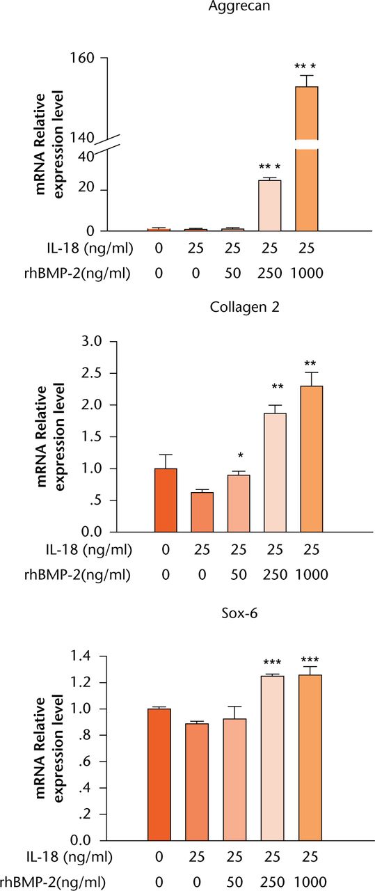 Fig. 3 
            Graph showing mRNA levels after treatment of human annulus fibrosus cells (HAFCs) with interleukin (IL)-18 and recombinant human (rh)BMP-2 as determined by real-time PCR. HAFCs were treated with or without IL-18 and various concentrations of rhBMP-2 for 24 hours. The expression of target genes was normalised by the expression of Glyceraldehyde 3-phosphate dehydrogenase (GAPDH). Results are expressed as means and standard error of the mean (*p < 0.05, **p < 0.01, ***p < 0.001 compared with untreated cells).
          
