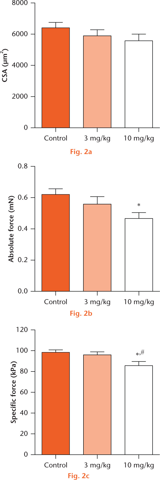  
          Permeabilised muscle fibre size and contractility: (a) permeabilised fibre cross-sectional area (CSA), (b) maximum isometric force (Fo) and (c) specific force (sFo) of 0 mg/kg, 3 mg/kg, and 10 mg/kg groups. Values are mean and standard error. Differences between groups were tested using a one-way analysis of variance (α = 0.05) followed by Fisher’s Least Significant Difference post hoc sorting. *, significantly different from 0 mg/kg; #, significantly different from 3 mg/kg (p < 0.05).
        
