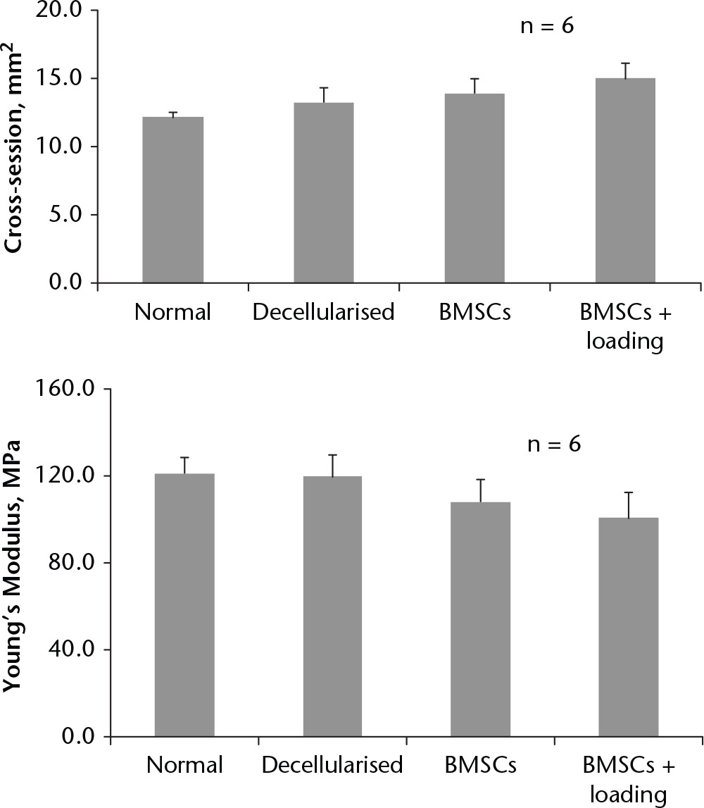 Fig. 3 
            Comparison of mechanical characteristics among the four study groups. The mean cross-sectional area (a) and (b) Young’s modulus of the normal group, decellularised group, bone marrow stromal cells (BMSCs) group, and BMSCs with mechanical stimulation group (BMSCs + loading). Error bars represent SE. N=6, 6 samples out of 8 tendons in each group were randomly selected for measurement. BMSCs indicate bone marrow stromal cells.
          