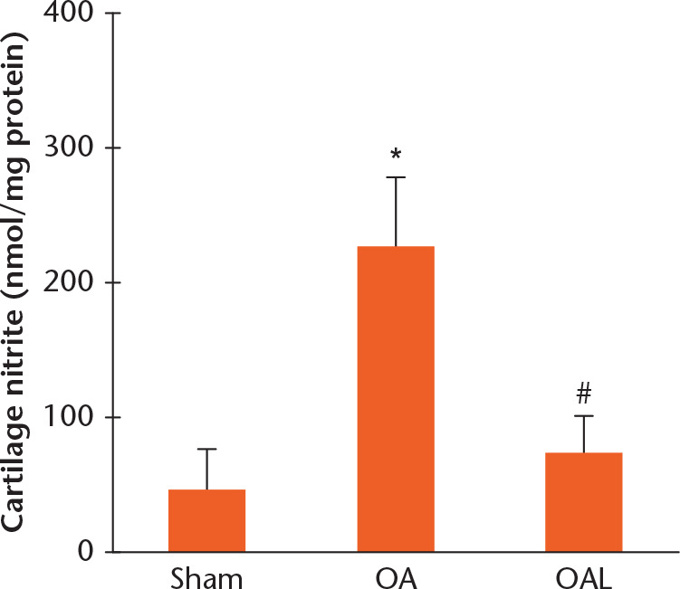 Fig. 3 
            The effect of L-NAME on cartilage nitric oxide production in rats. Rats were divided into three groups of five. Group I (sham group), rats received the sham operation only; Group II (OA, group), rats received the meniscectomy operation only; and Group III (OAL group), rats received the meniscectomy operation and L-NAME (20 mg/kg/d for 14 days, orally). Cartilage nitrite levels were determined 14 days after meniscectomy from each group, respectively. Data are expressed as means and standard deviation *p < 0.05 compared with sham group (Group I). #p < 0.05 compared with OA group (Group II).
          