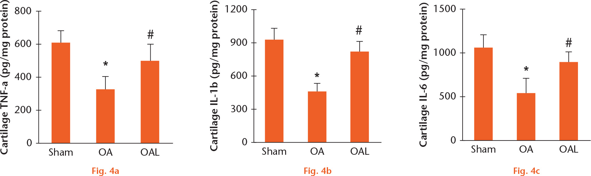  
            The role on nitric oxide on cartilage pro-inflammatory cytokine production in rats. Rats were divided into three groups of five. Group I (sham group), rats received the sham operation only; Group II (OA group), rats received the meniscectomy operation only; and Group III (OAL group), rats received the meniscectomy operation and L-NAME (20 mg/kg/d for 14 days, orally). Cartilage pro-inflammatory cytokines including TNF-α (Α), IL-1β (Β), and IL-6 (C) were assessed 14 days after meniscectomy from each group, respectively. Data are expressed as means and standard deviation. *p < 0.05 compared with Sham group (Group I). #p < 0.05 compared with OA group (Group II).
          