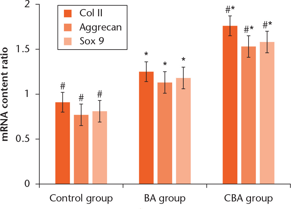Fig 4 
            Chart showing the expression of mRNA of collagen II, aggrecan and SOX9 in the samples after they were cultured for one week. Analysis of variance and least-significant differences (LSD) test compared with control group, *p = 0.001; compared with BA group, #p = 0.001.
          
