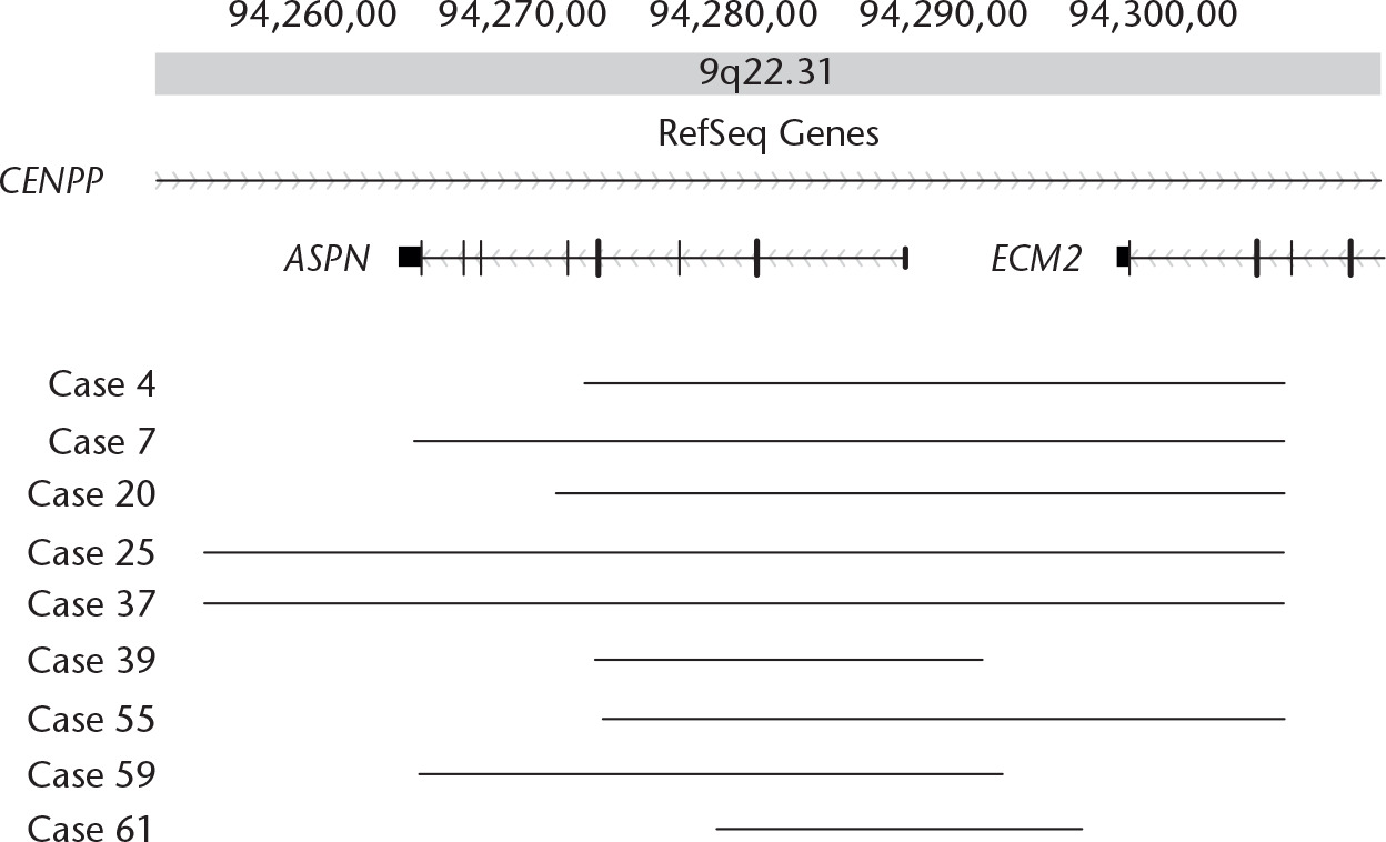 Fig. 3 
            Extent of the loss of copy number in the 60 kb region around the ASPN gene on 9q22.31 in the nine affected acetabular dysplasia patients. The horizontal bars represent the extent of the loss region in each case between the genomic positions 94 250 000 (left) and 94 310 000 (right). The top map shows the positions of putative genes in the region.35CENPP, centromere protein p; ASPN, asporin; ECM2, extracellular matrix protein 2.
          