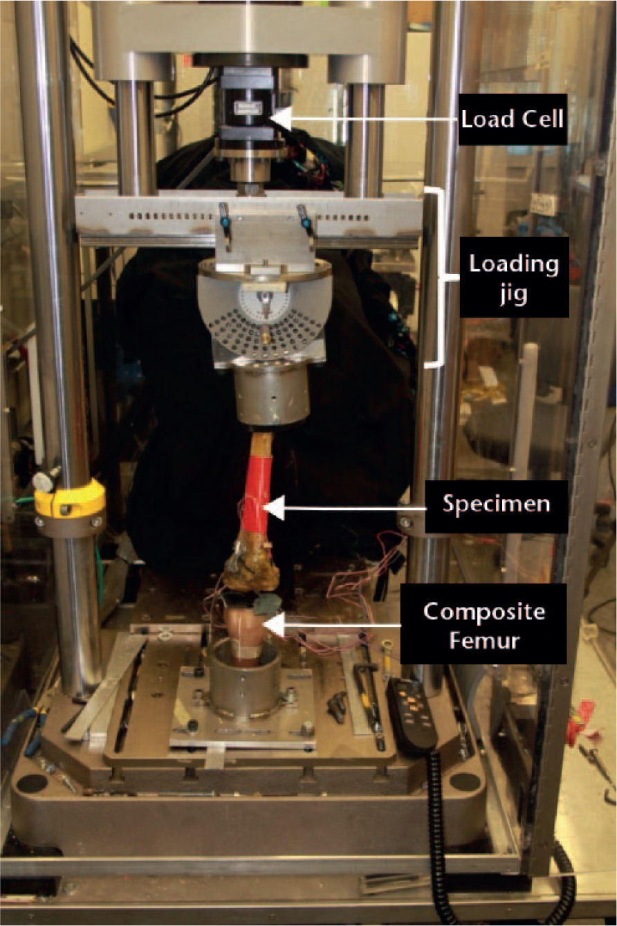 Fig. 3 
            The experimental setup, including the multi-axis fixation jig within the materials testing machine.
          