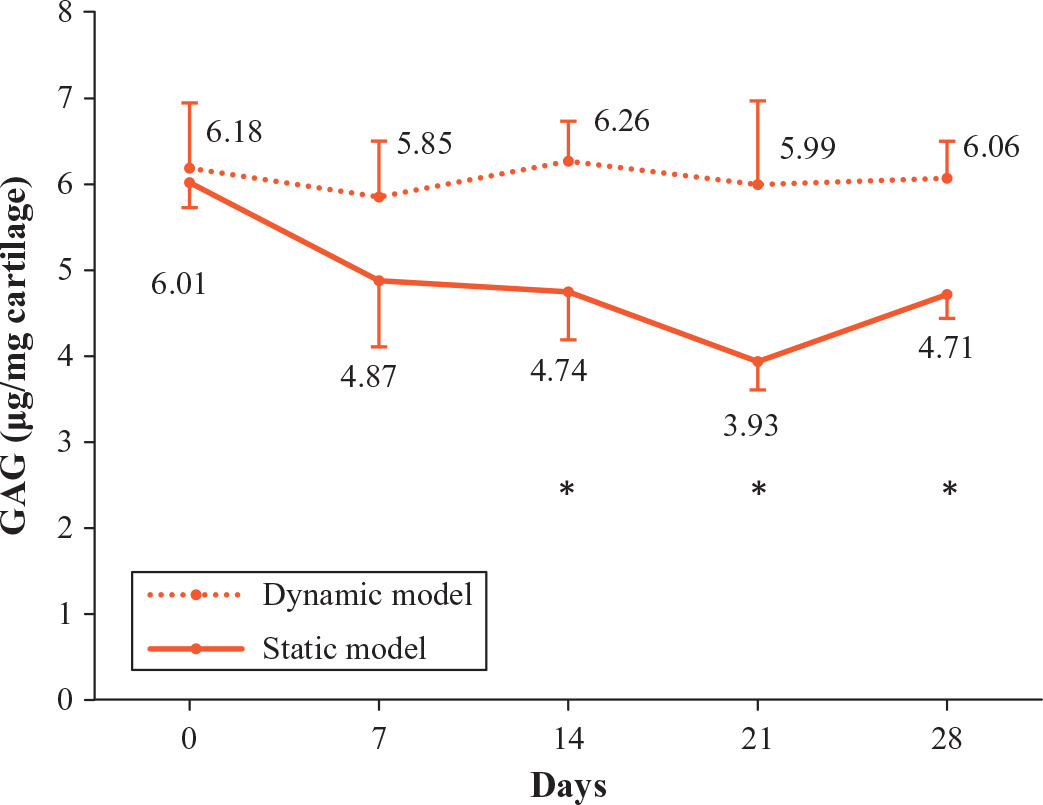 Fig. 7 
            Graph showing cartilage glycosaminoglycan (GAG) content in the dynamic and static models. Quantification of the matrix GAG content showed that, in both models, the day 0 values started at a similar level without significant difference (p = 0.640, unpaired t-test). However, after day 14, the difference became significant (p = 0.003, 0.004, and 0.001, at day 14, 21, and 28, respectively; unpaired t-test; indicated with an asterisk). In the dynamic model, the GAG content was maintained at the initial level during the whole culture period, but in the static model, it dropped to the lowest value at day 21, with a slight increase at day 28.
          