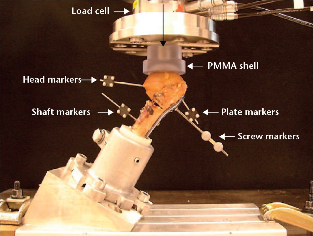 Fig. 4 
          Test setup with a humerus instrumented with a PHILOS plate, equipped with four retro-reflective markers for optical motion tracking and mounted for biomechanical testing. The vertical arrow indicates the direction of loading (PMMA, polymethylmethacrylate).
        
